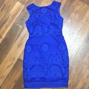 Beauport Amy Lace Dress 6 ( Stitch Fix dress)